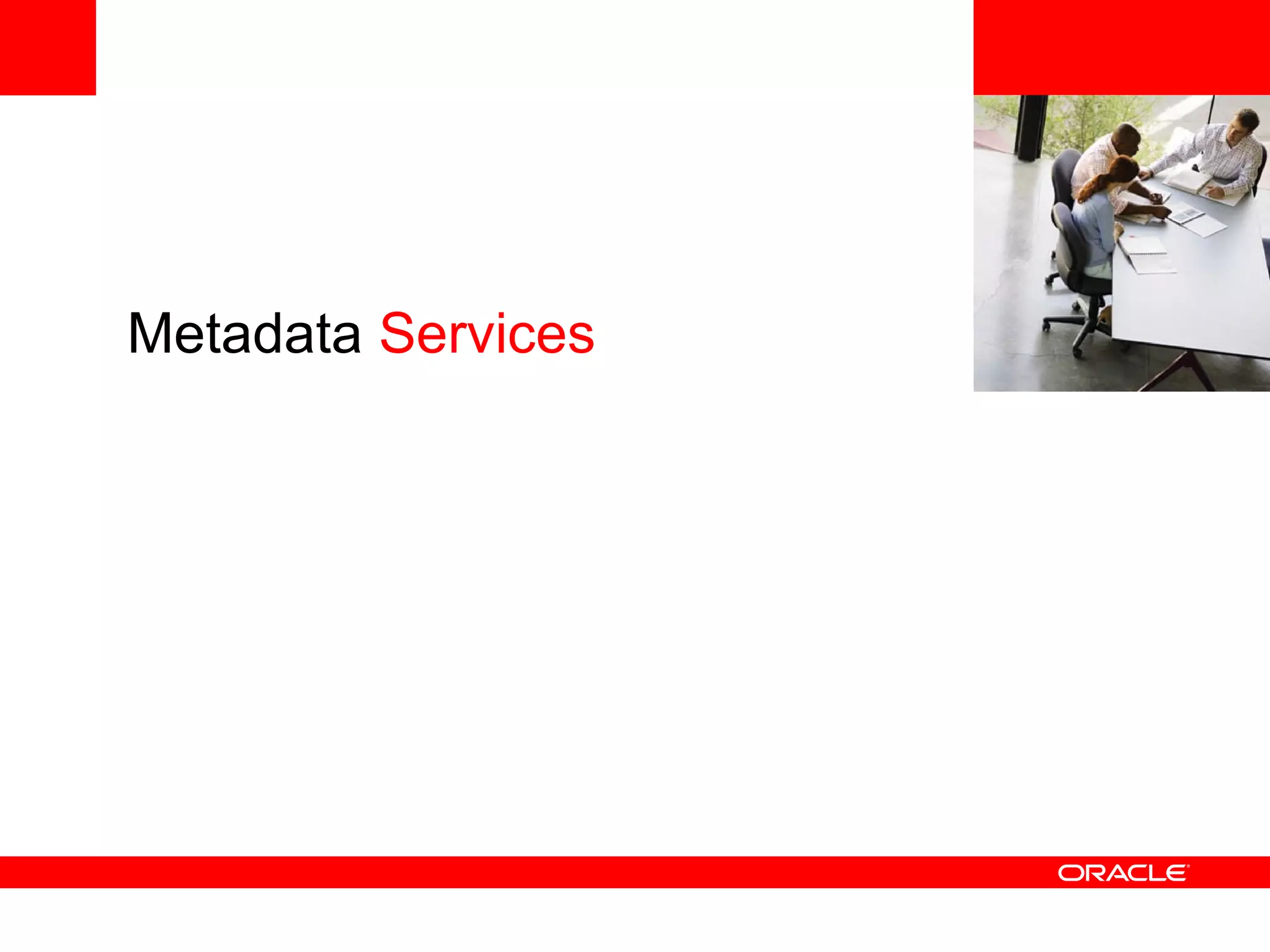 <Insert Picture Here> Metadata  Services 
