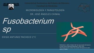 Fusobacterium
sp
MICROBIOLOGÍA Y PARASITOLOGÍA
DR. JOSÉ ÁNGELES CHIMAL
Universidad Autónoma del Estado de Morelos
Facultad de Medicina
DIEGO ANTUNEZ PACHECO 2°C
Mulholland, A. (2011, October 18). Two new studies link bacteria
to colon cancer. Retrieved September 4, 2015, from
http://www.ctvnews.ca/two-new-studies-link-bacteria-to-colon-
cancer-1.712841
 