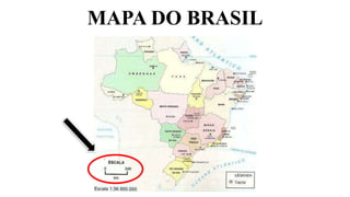 MAPA DO BRASIL
 