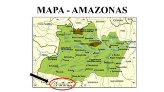 MAPA - AMAZONAS
 