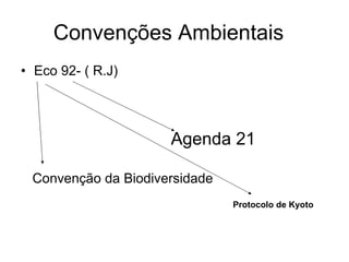 Convenções Ambientais  Eco 92- ( R.J) Agenda 21 Convenção da Biodiversidade Protocolo de Kyoto 