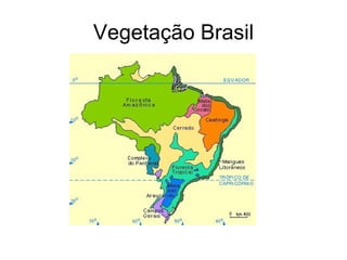 Vegetação Brasil 