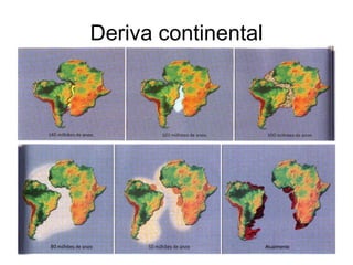 Deriva continental 