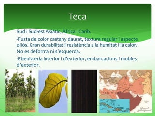 Sud i Sud-est Asiàtic, Àfrica i Carib.
-Fusta de color castany daurat, textura regular i aspecte
oliós. Gran durabilitat i resistència a la humitat i la calor.
No es deforma ni s’esquerda.
-Ebenisteria interior i d’exterior, embarcacions i mobles
d’exterior.
Teca
 