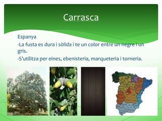 Espanya
-La fusta es dura i sòlida i te un color entre un negre i un
gris.
-S’utilitza per eines, ebenisteria, marqueteria i torneria.
Carrasca
 