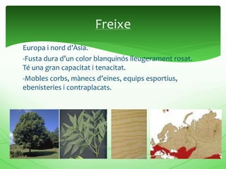 Europa i nord d’Àsia.
-Fusta dura d’un color blanquinós lleugerament rosat.
Té una gran capacitat i tenacitat.
-Mobles corbs, mànecs d’eines, equips esportius,
ebenisteries i contraplacats.
Freixe
 