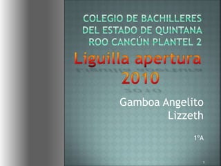 Gamboa Angelito
Lizzeth
1ºA
1
 