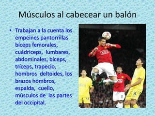 Músculos al cabecear un balón Trabajan a la cuenta los empeines pantorrillas bíceps femorales, cuádriceps,  lumbares,  abdominales, bíceps, tríceps, trapecio, hombros  deltoides, los brazos hombros,  espalda,  cuello, músculos de  las partes del occipital. 