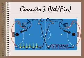 Circuito 3 (Vel/Fin)
TrTr
 