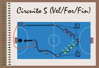 Circuito 5 (Vel/For/Fin)
Tr
Tr
 