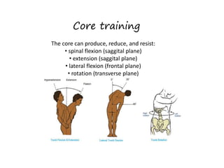 Core training
The core can produce, reduce, and resist:
• spinal flexion (saggital plane)
• extension (saggital plane)
• lateral flexion (frontal plane)
• rotation (transverse plane)
 