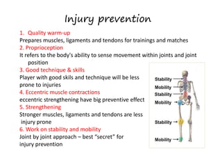 Injury prevention
1. Quality warm-up
Prepares muscles, ligaments and tendons for trainings and matches
2. Proprioception
It refers to the body's ability to sense movement within joints and joint
position
3. Good technique & skills
Player with good skils and technique will be less
prone to injuries
4. Eccentric muscle contractions
eccentric strengthening have big preventive effect
5. Strengthening
Stronger muscles, ligaments and tendons are less
injury prone
6. Work on stability and mobility
Joint by joint approach – best “secret” for
injury prevention
 