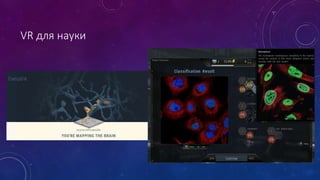 VR для науки
 