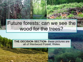 Future forests: can we see the wood for the trees? THE DECISION SECTION - these pictures are all of Wentwood Forest, Wales. 
