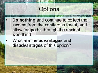 Options Do nothing  and continue to collect the income from the coniferous forest, and allow footpaths through the ancient woodland. What are the  advantages  and  disadvantages  of this option? 