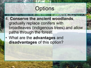 Options  4.  Conserve the ancient woodlands , gradually replace conifers with broadleaves (indigenous trees) and allow paths through the forest. What are the  advantages  and  disadvantages  of this option? 