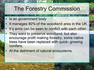 The Forestry Commission Is an government body  It manages 40% of the woodland area in the UK It’s aims can be seen to conflict with each other: They want to preserve woodland, but also encourage profit making forestry, some native trees have been replaced with quick- growing conifers. At the detriment of natural ecosystems. 