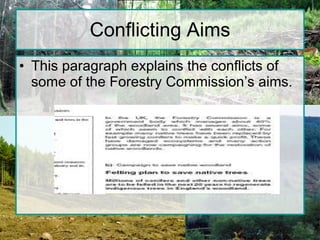 Conflicting Aims This paragraph explains the conflicts of some of the Forestry Commission’s aims. 