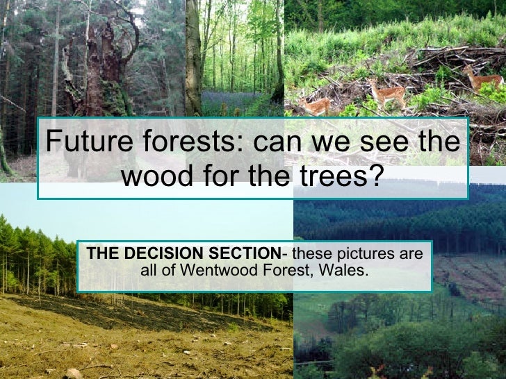 Future Forests The Decision V1