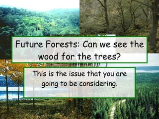 Future Forests: Can we see the wood for the trees? This is the issue that you are going to be considering. 