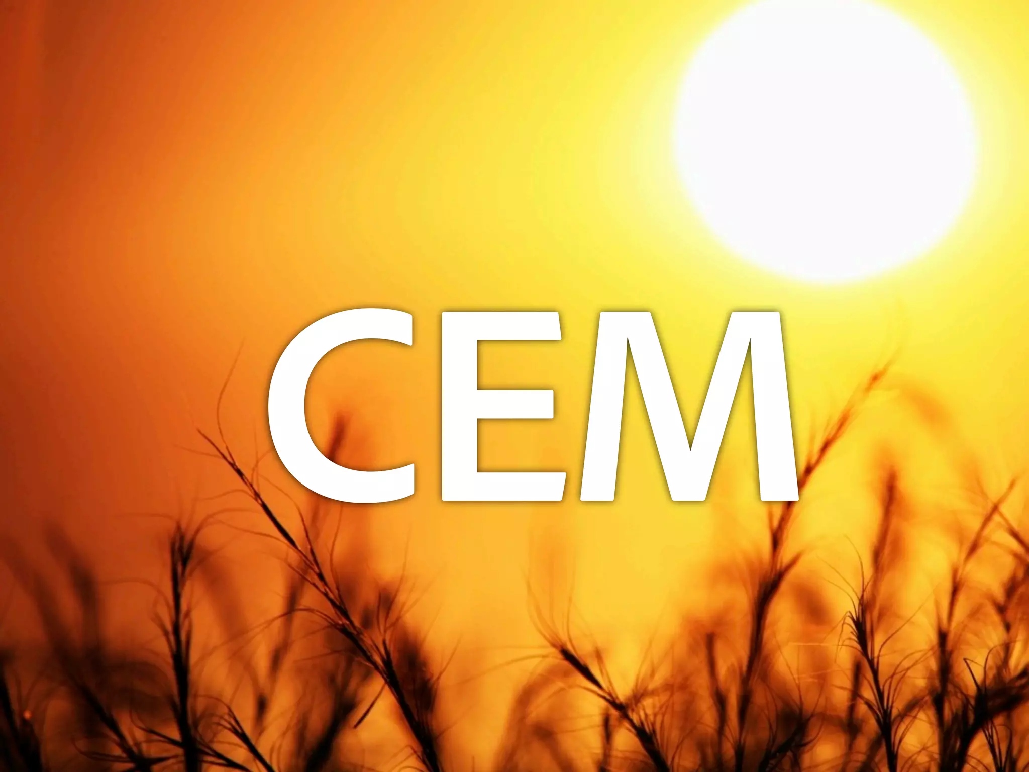 CEM
© 2011 Adobe Systems Incorporated. All Rights Reserved. Adobe Con dential.   51
 