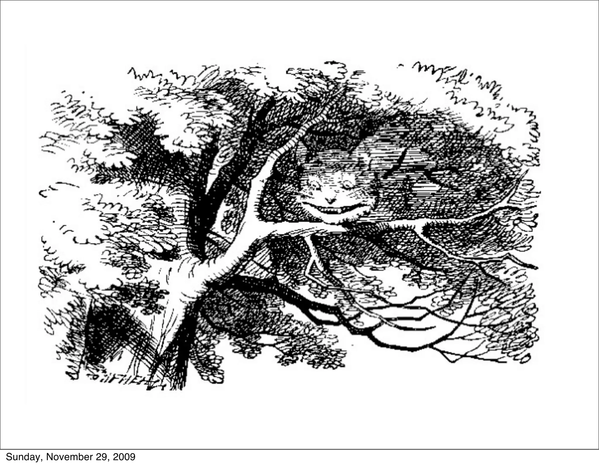 Sunday, November 29, 2009
 