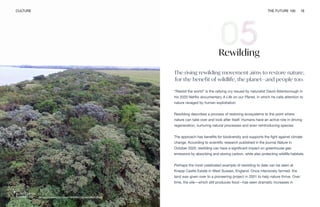 Image courtesy of Durrell Wildlife Conservation Trust
CULTURE THE FUTURE 100 16
Rewilding
The rising rewilding movement aims to restore nature,
for the benefit of wildlife, the planet—and people too.
“Rewild the world” is the rallying cry issued by naturalist David Attenborough in
his 2020 Netflix documentary A Life on our Planet, in which he calls attention to
nature ravaged by human exploitation.
Rewilding describes a process of restoring ecosystems to the point where
nature can take over and look after itself. Humans have an active role in driving
regeneration, nurturing natural processes and even reintroducing species.
The approach has benefits for biodiversity and supports the fight against climate
change. According to scientific research published in the journal Nature in
October 2020, rewilding can have a significant impact on greenhouse gas
emissions by absorbing and storing carbon, while also protecting wildlife habitats.
Perhaps the most celebrated example of rewilding to date can be seen at
Knepp Castle Estate in West Sussex, England. Once intensively farmed, the
land was given over to a pioneering project in 2001 to help nature thrive. Over
time, the site—which still produces food—has seen dramatic increases in
 