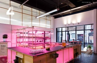 Post Womens-Interest Media
Post Wo
04
THE FUTURE 100FOOD & DRINK 88
Lokal by SPACE10
 