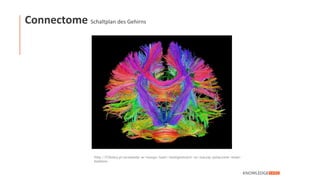 Connectome Schaltplan des Gehirns
http://f7dobry.pl/przewody-w-mozgu-ludzi-inteligentnych-sa-inaczej-polaczone-mowi-
badanie/
 