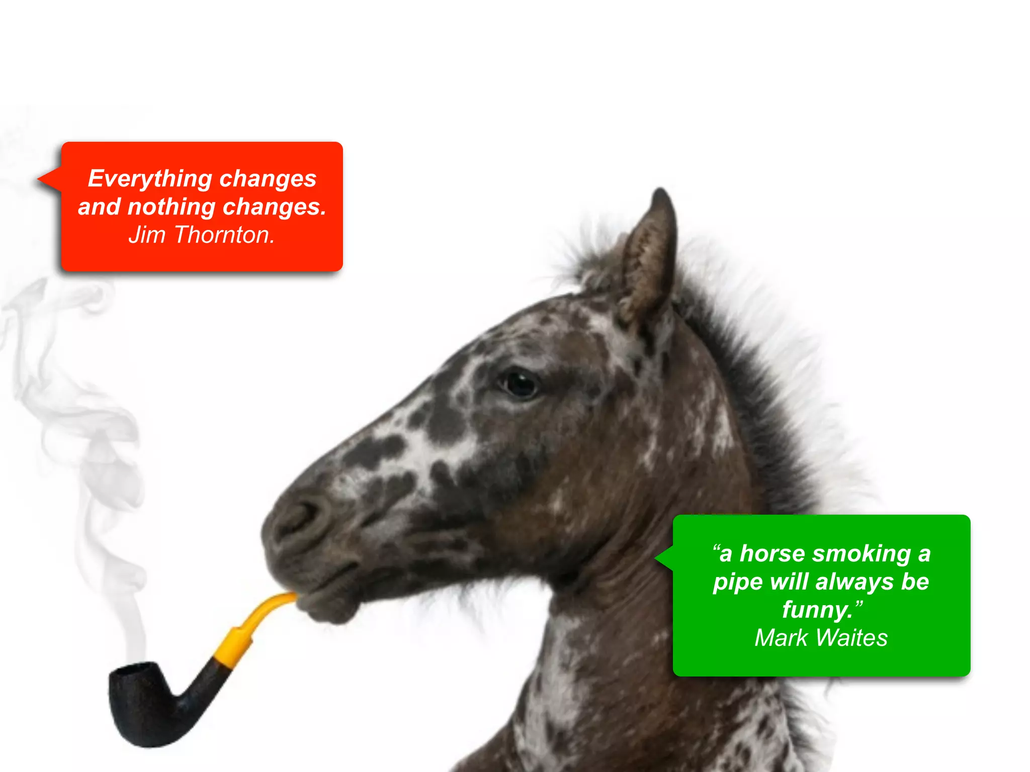 Everything changes
and nothing changes.
Jim Thornton.

“a horse smoking a
pipe will always be
funny.”
Mark Waites

 