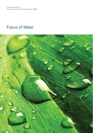 Professor Stewart Burn
     Stream Leader of Infrastructure Technologies, CSIRO




     Future of Water




90
 