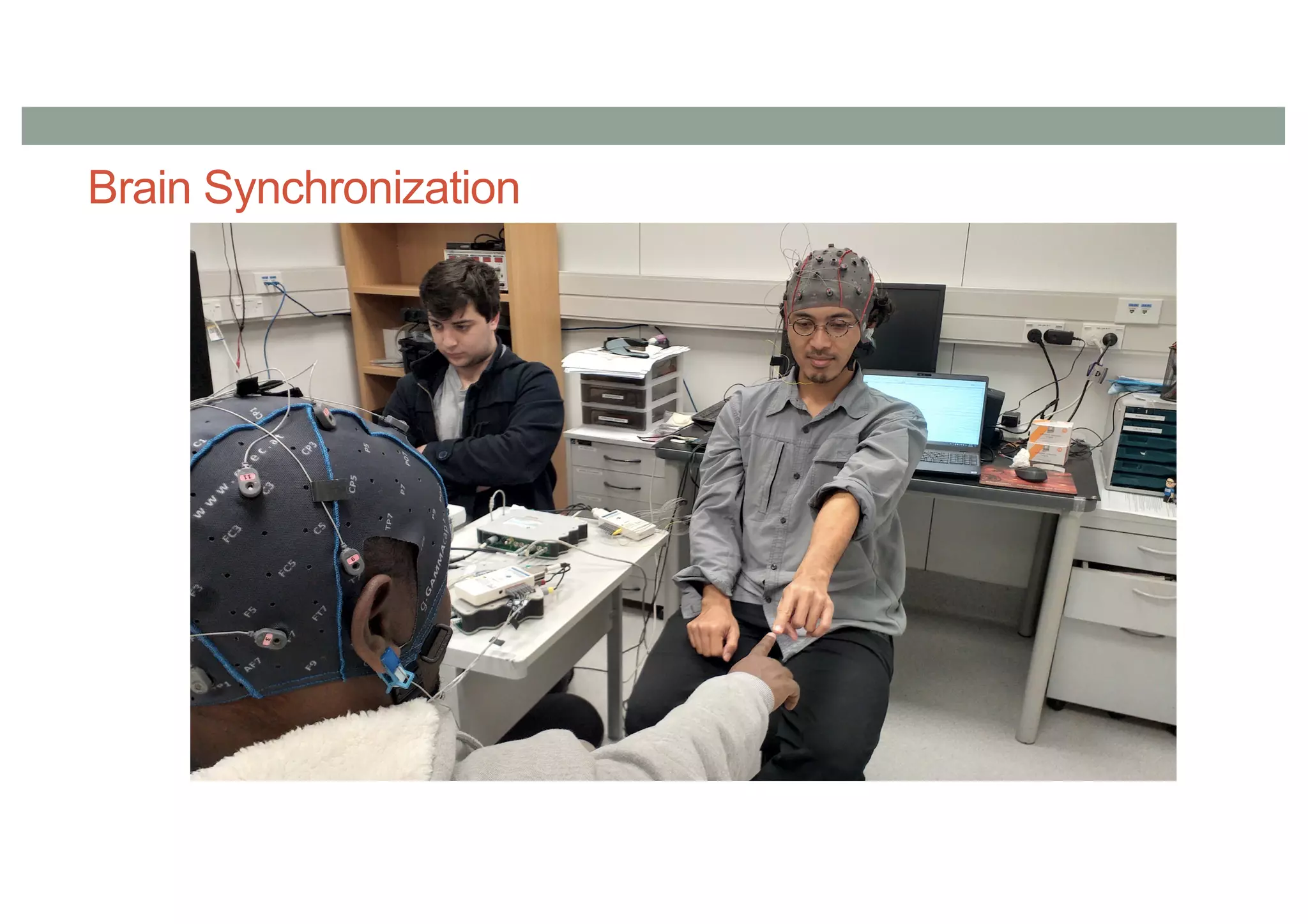 Brain Synchronization
 