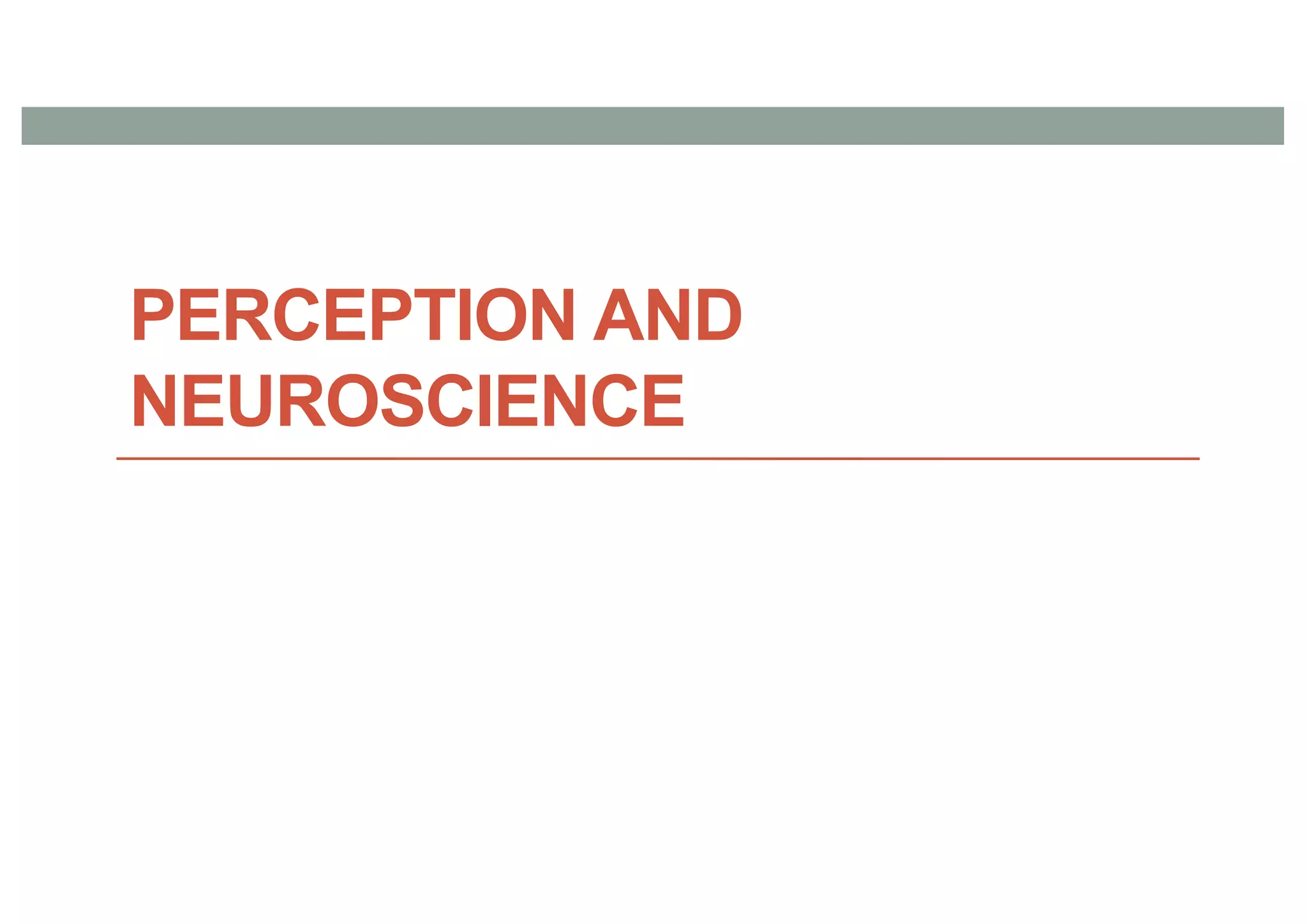 PERCEPTION AND
NEUROSCIENCE
 