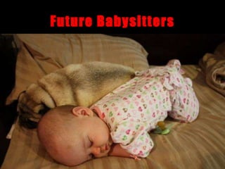 Future Babysitters 