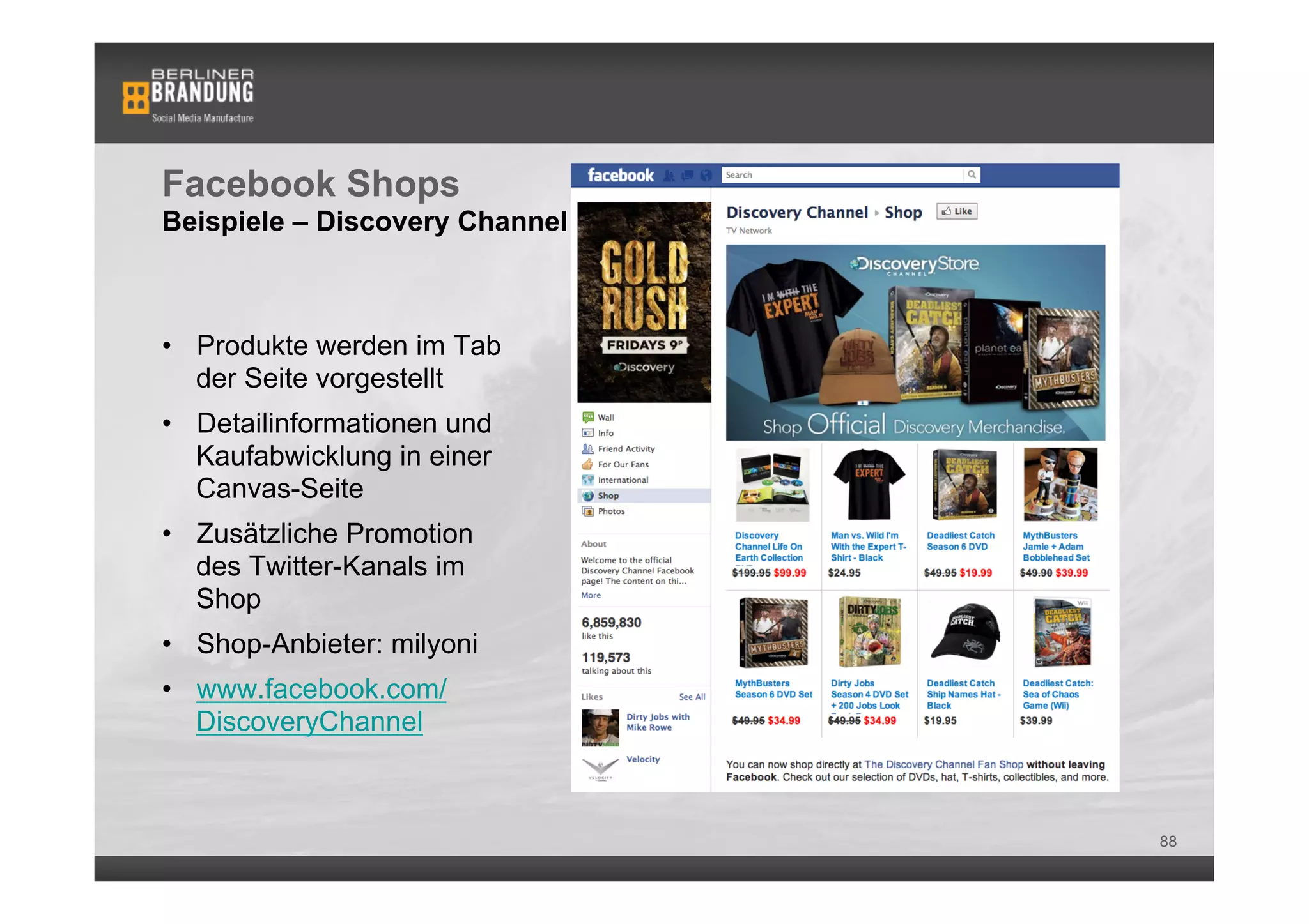 Facebook Shops
Beispiele – Discovery Channel



•  Produkte werden im Tab
   der Seite vorgestellt
•  Detailinformationen und
   Kaufabwicklung in einer
   Canvas-Seite
•  Zusätzliche Promotion
   des Twitter-Kanals im
   Shop
•  Shop-Anbieter: milyoni
•  www.facebook.com/
   DiscoveryChannel



                                88
 