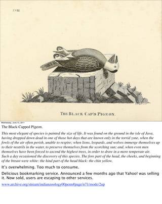 Wednesday, June 15, 2011

The Black-Capped Pigeon.
This most elegant of species is painted the size of life. It was found on the ground in the isle of Java,
having dropped down dead in one of those hot days that are known only in the torrid zone, when the
fowls of the air often perish, unable to respire; when lions, leopards, and wolves immerge themselves up
to their nostrils in the water, to preserve themselves from the scorching sun; and, when even men
themselves have been forced to ascend the highest trees, in order to draw in a more temperate air.
Such a day occasioned the discovery of this species. The fore part of the head, the cheeks, and beginning
of the breast were white: the hind part of the head black: the chin yellow.
It’s overwhelming. Too much to consume.
Delicious bookmarking service. Announced a few months ago that Yahoo! was selling
it. Now sold, users are escaping to other services.
www.archive.org/stream/indianzoology00penn#page/n71/mode/2up
 