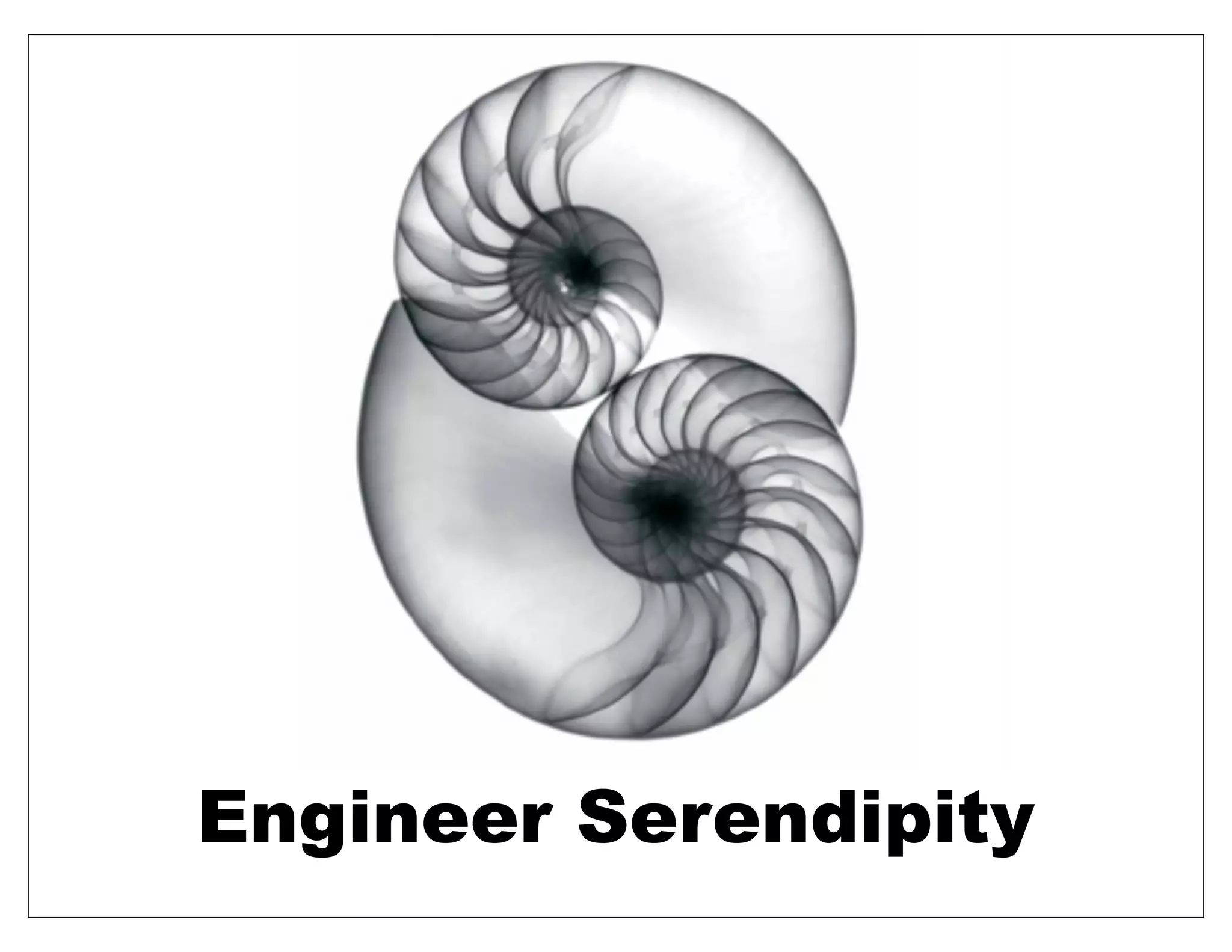 Engineer Serendipity
 