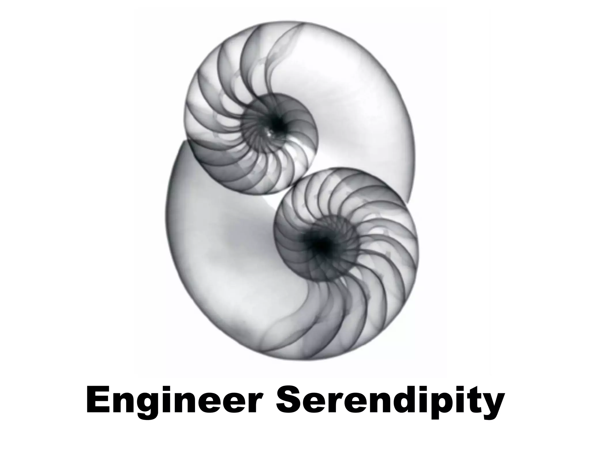 Engineer Serendipity

 