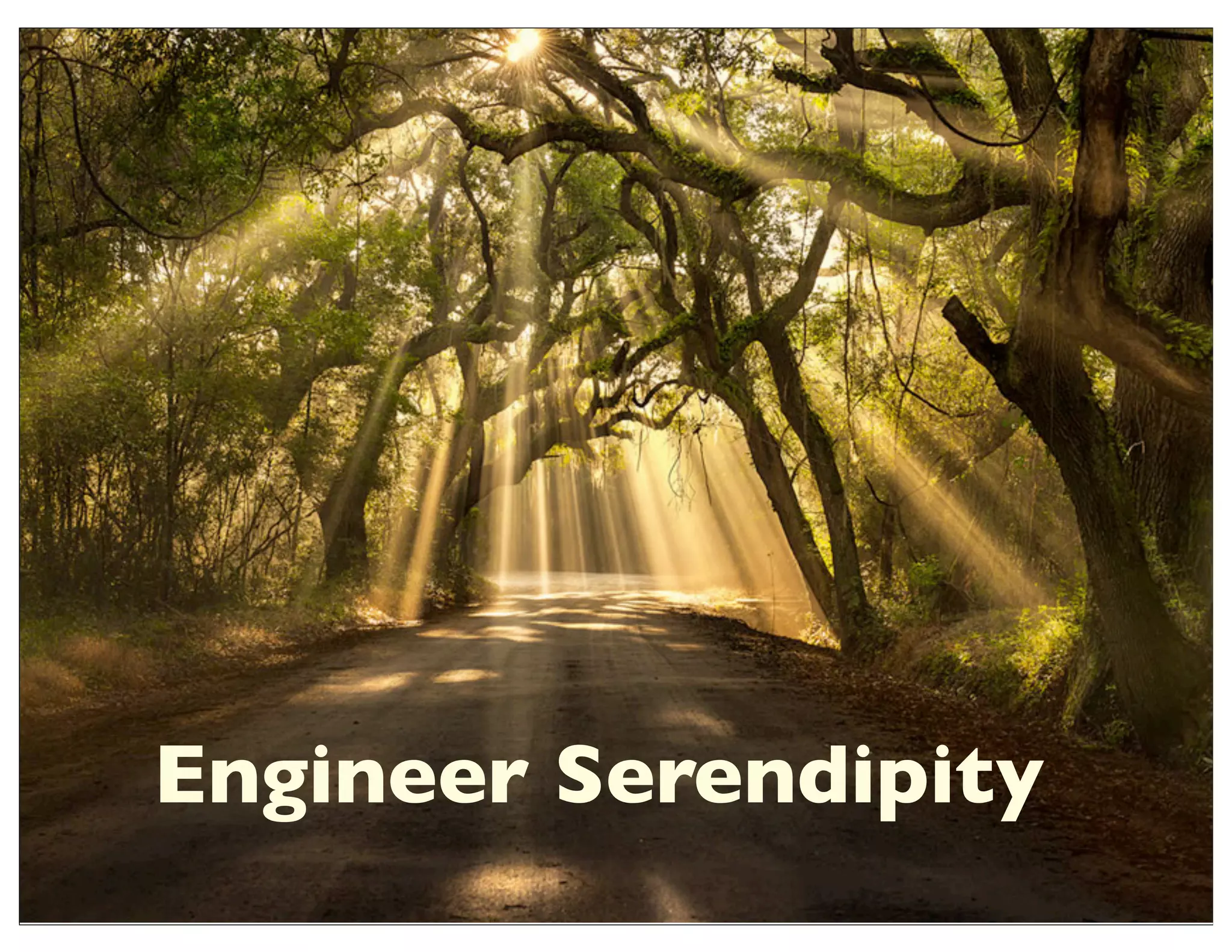 Engineer Serendipity
 