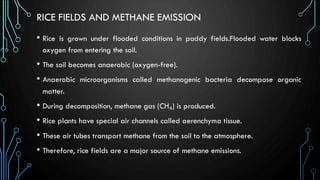 Future Challenges and Sustainable Ecosystem Management.pdf