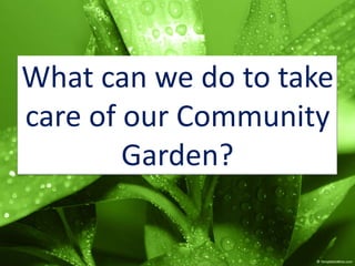 What can we do to take care of our Community Garden? 
