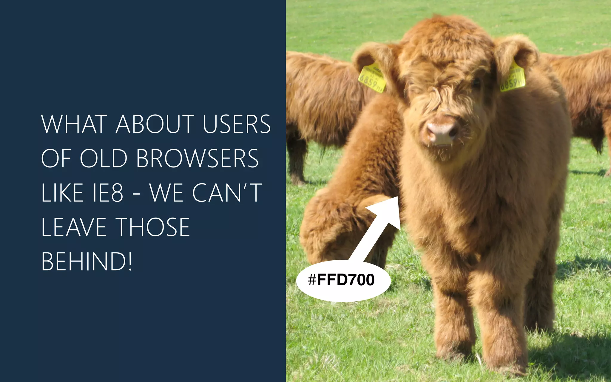 WHAT ABOUT USERS
OF OLD BROWSERS
LIKE IE8 -‐ WE CAN’T
LEAVE THOSE
BEHIND!
#FFD700
 