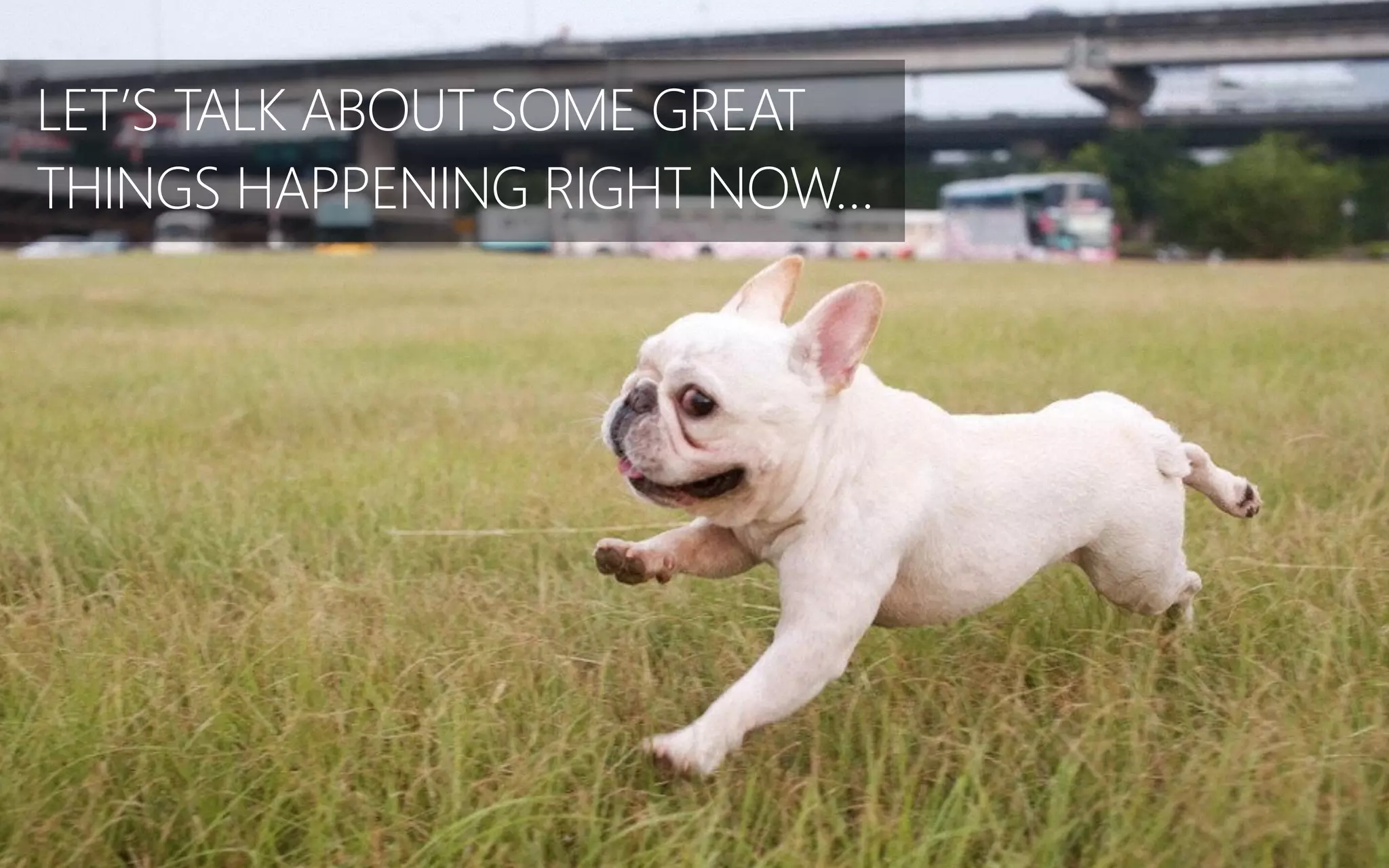 LET’S TALK ABOUT SOME GREAT
THINGS HAPPENING RIGHT NOW…
 