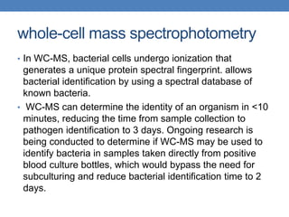 whole-cell mass spectrophotometry
• In WC-MS, bacterial cells undergo ionization that
generates a unique protein spectral fingerprint. allows
bacterial identification by using a spectral database of
known bacteria.
• WC-MS can determine the identity of an organism in <10
minutes, reducing the time from sample collection to
pathogen identification to 3 days. Ongoing research is
being conducted to determine if WC-MS may be used to
identify bacteria in samples taken directly from positive
blood culture bottles, which would bypass the need for
subculturing and reduce bacterial identification time to 2
days.
 