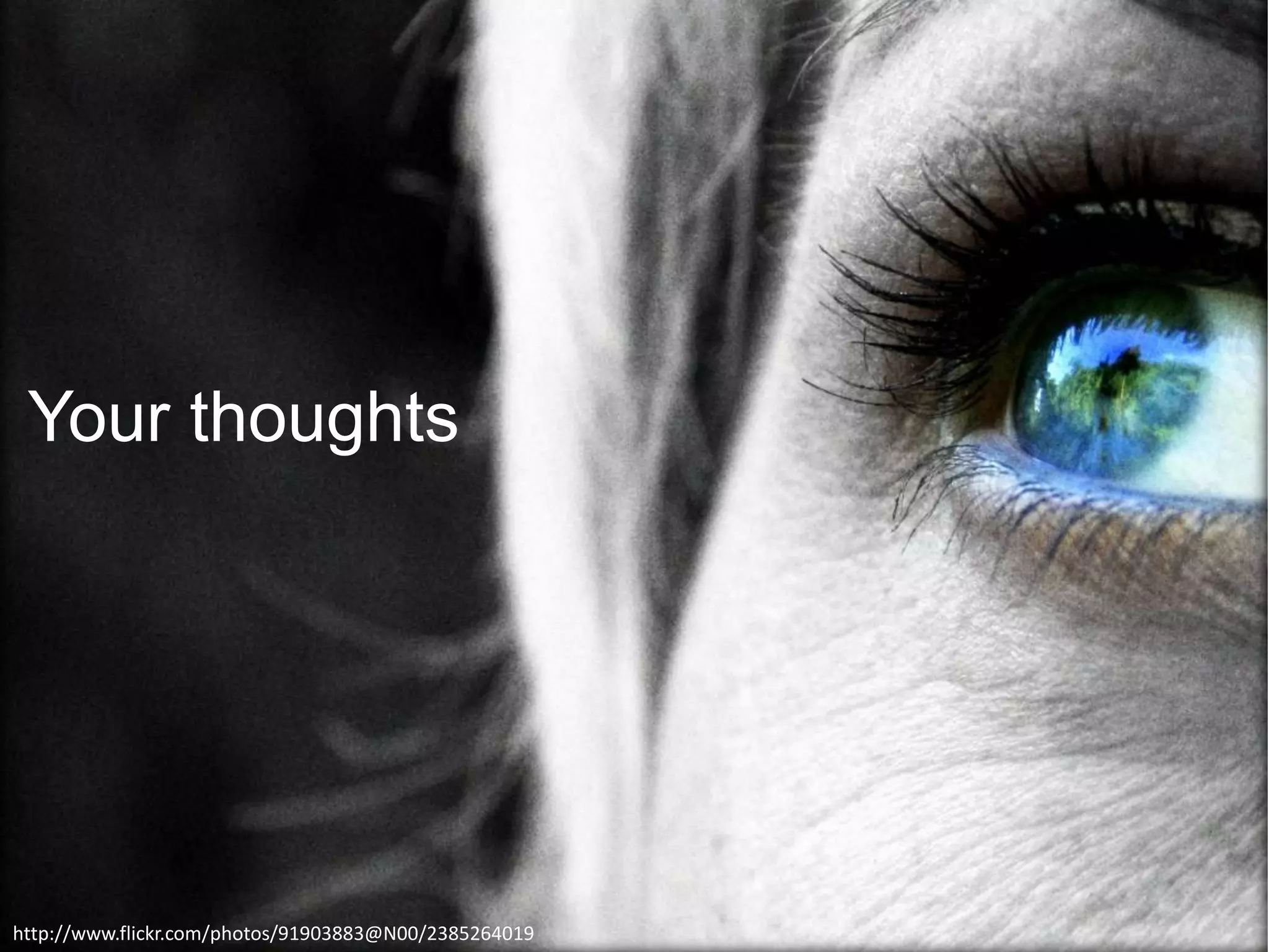 Your thoughts
http://www.flickr.com/photos/91903883@N00/2385264019
 