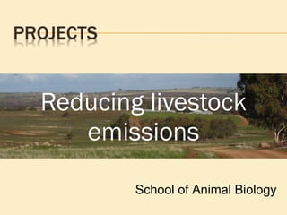 Reducing livestock emissions School of Animal Biology