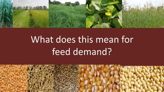 The future of farming and food