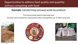 The future of farming and food