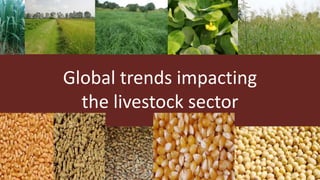 The future of farming and food