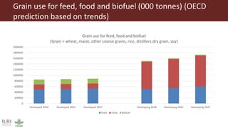 The future of farming and food